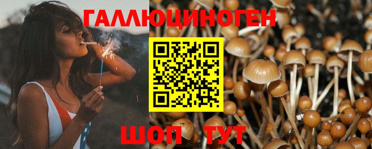 Галлюциногенные грибы GOLDEN TEACHER Белогорск